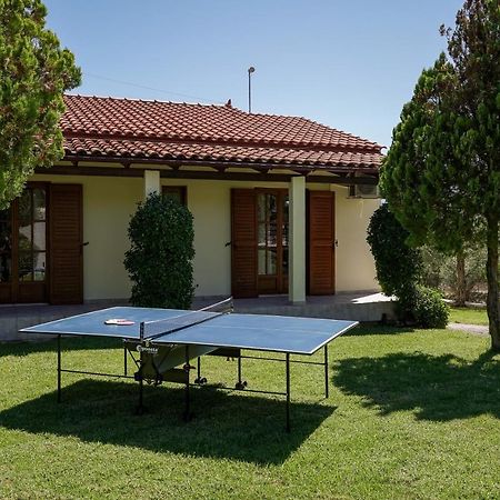 Lefkothea Villas With Large Pool, Bbq & Playground Adelianos Kampos Exterior foto